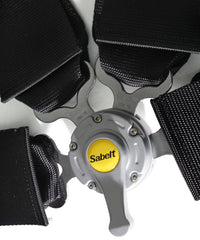 ARTA sabelt 轎車安全帶